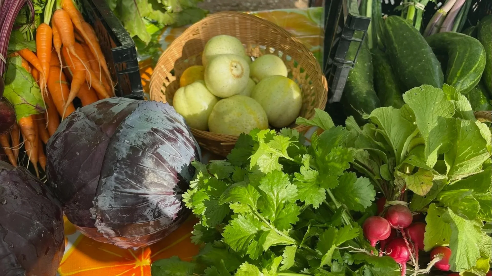 Farmer's Market Produce 1.jpg