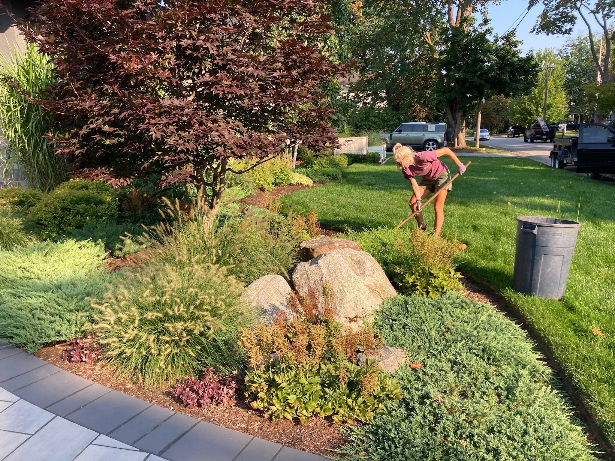 Garden Mainteanance 2.JPG