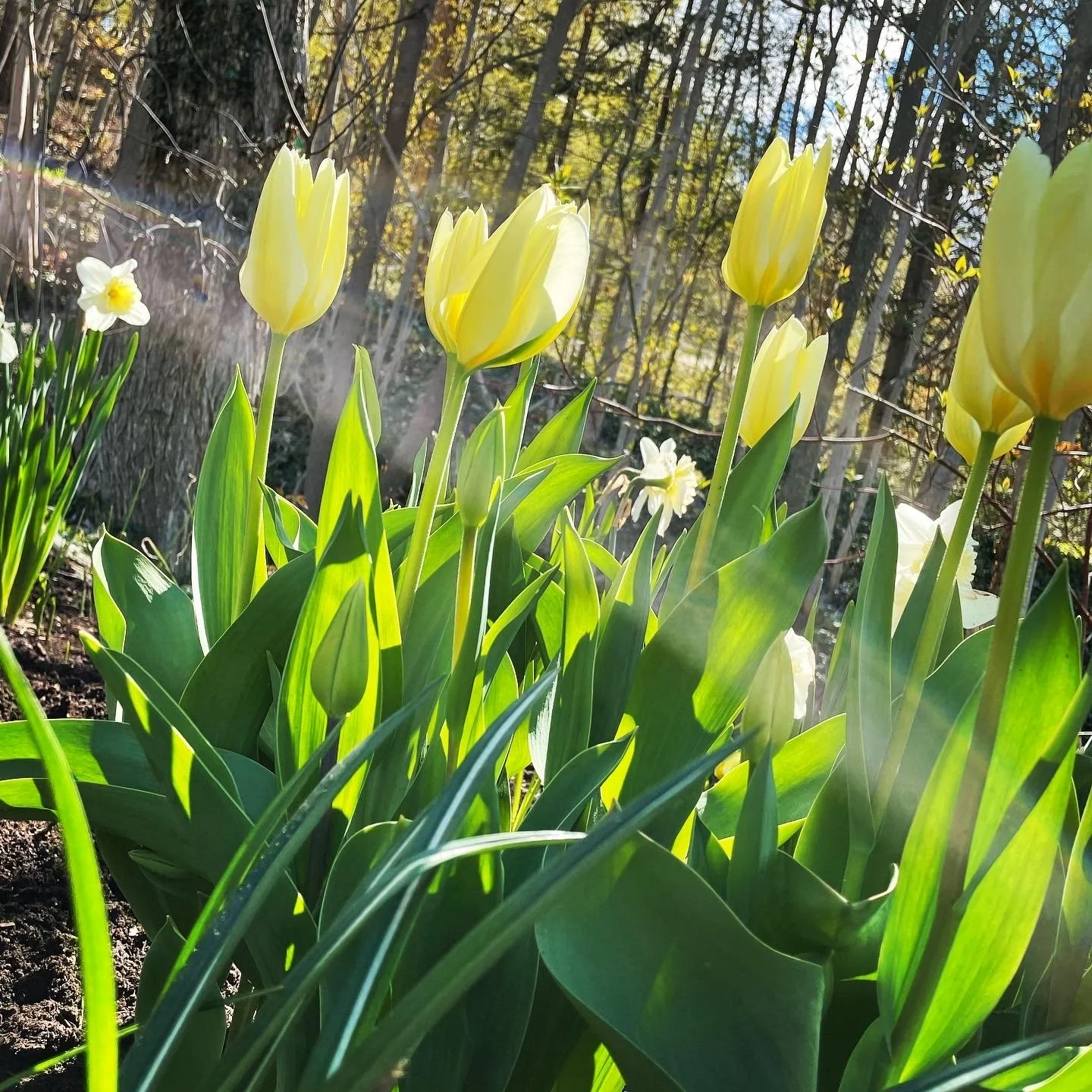 Enhancements Gallery 4.JPG