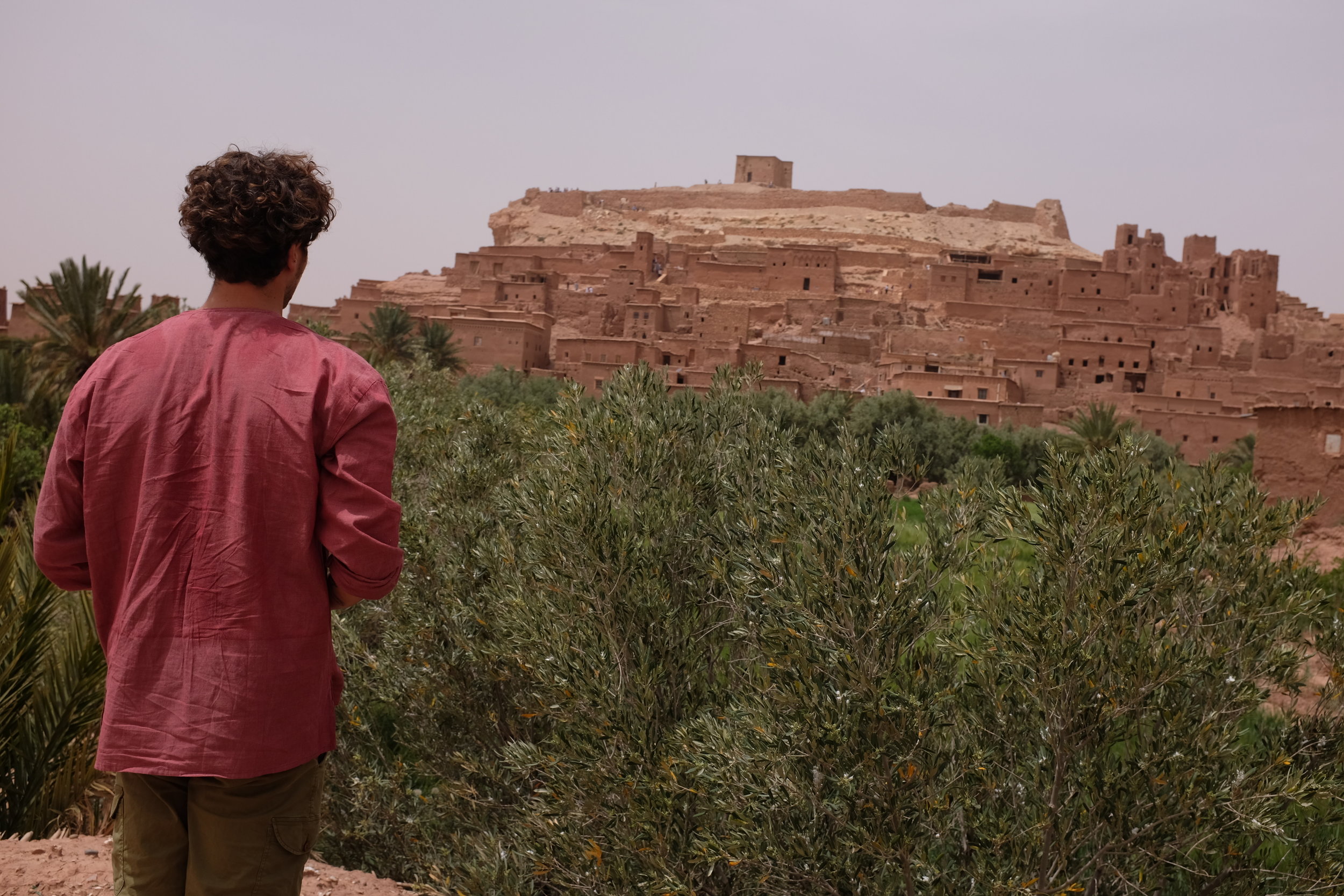 ئالتۇن ھەمجىنىسلارنىڭ كوكو پوپ رېتسىپى