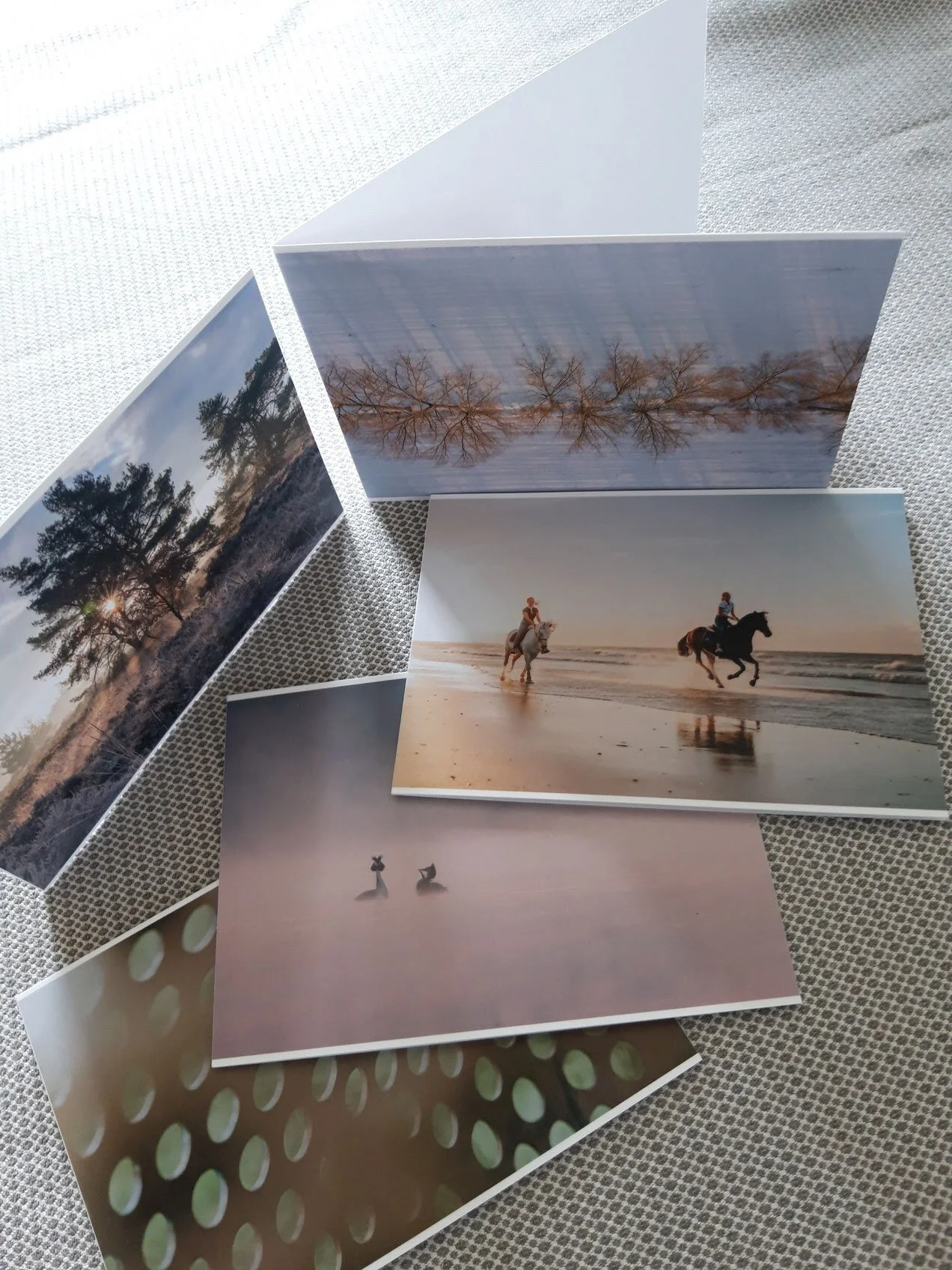 tentoonstelling_kaartjes.jpg