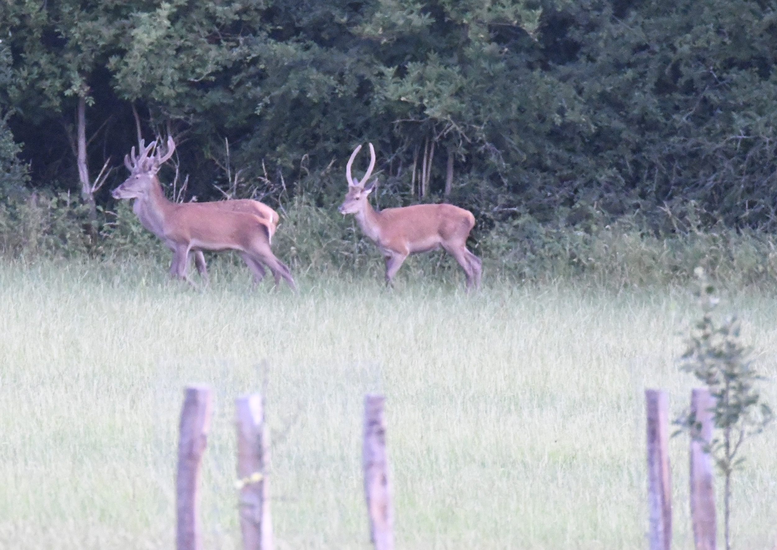 Weekend in de Ardennen