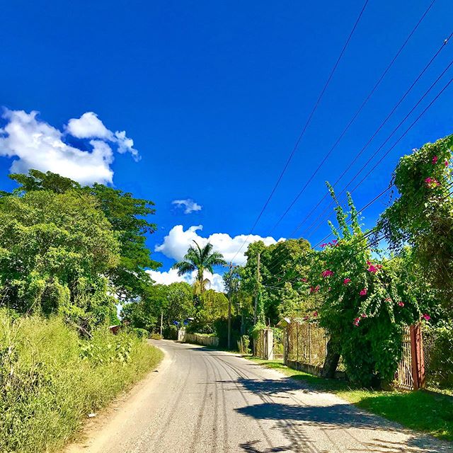 Blue skies in Jamaica! Who&rsquo;s ready for some summer fun? Maybe a Jamaican road trip or even some rest and relaxation at Coral Cottage! 🤙🇯🇲😎
.
#CoralCottageJamaica 🌴🌊☀️
.
.
.
.
.
.
.
.
.
.
 #Jamaica #Travel #Vacation #VacationHome #Tourism 