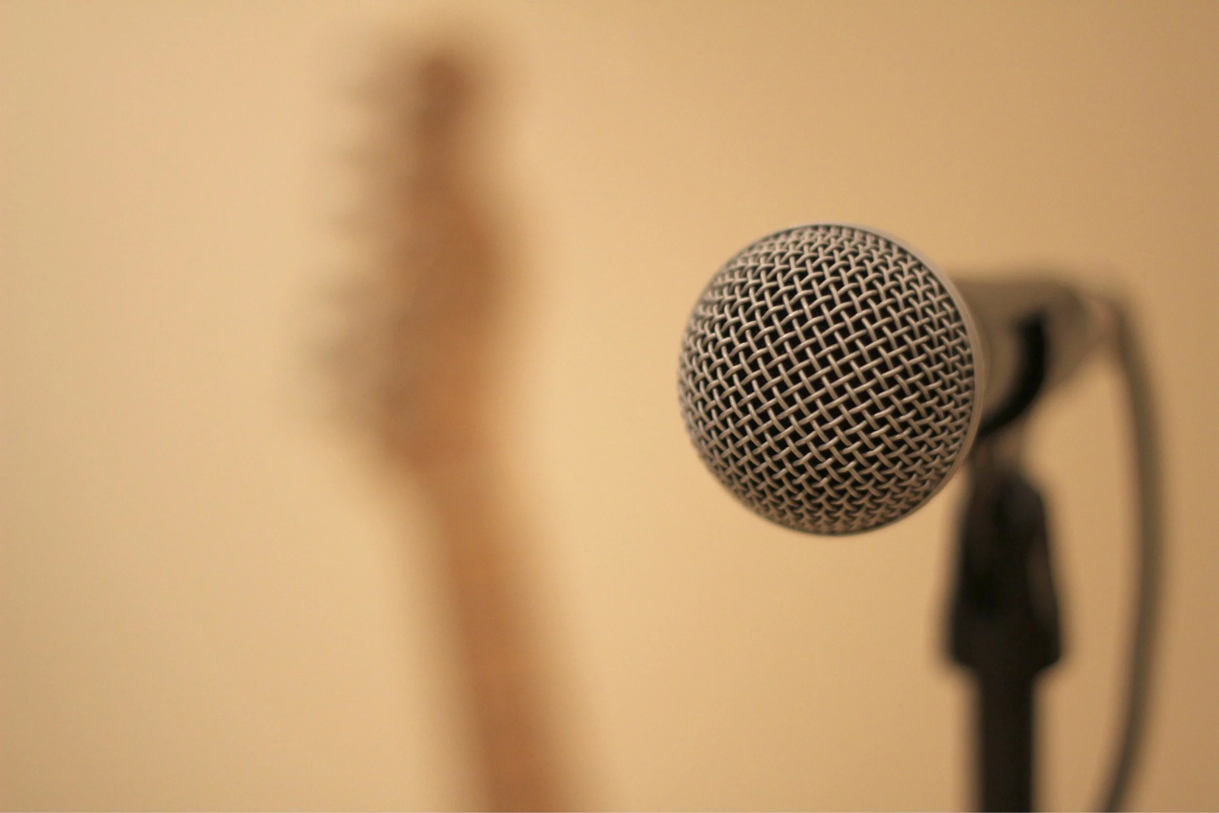Mic-Fixed.jpg