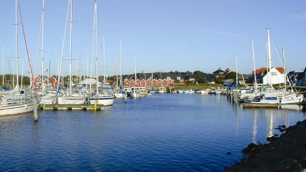 456_309250.jpg