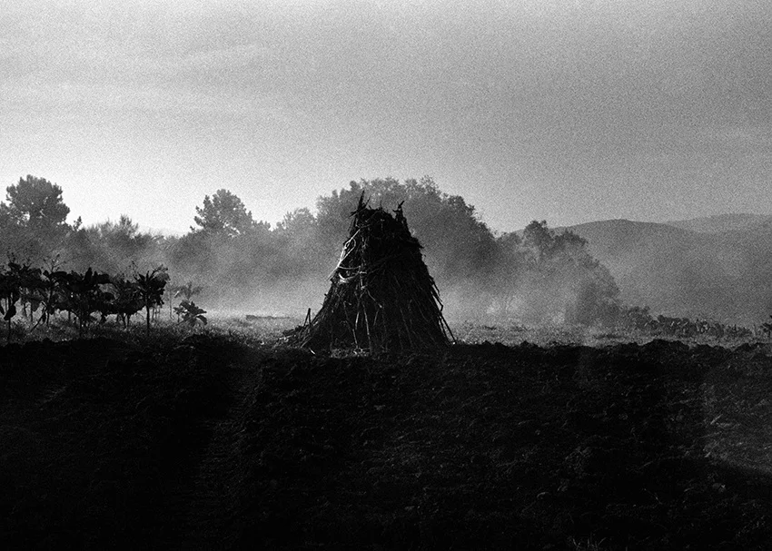   Lote#4 Sob vigia dos animais antigos nº4  Prova de exposilão 50×70cm 35mm negative Printed on Hahnemühle fine art paper   Vendido Sold  