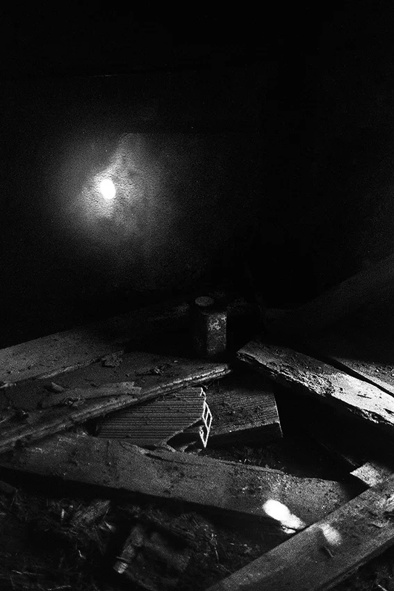   Lote#9 Sob vigia dos animais antigos nº9  Prova de exposição 50×35cm 35mm negative Printed on Hahnemühle fine art paper   Vendido Sold  