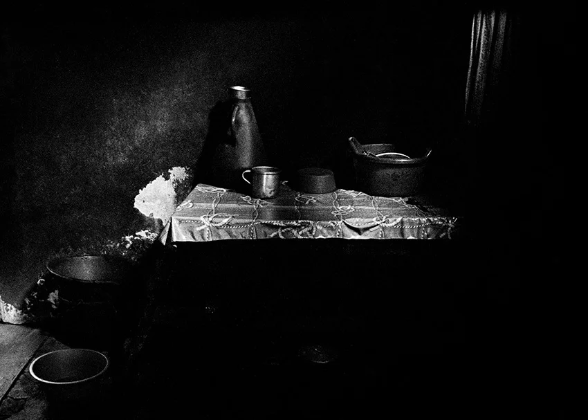   Lote#13 Sob vigia dos animais antigos nº13  Prova de exposição 50×35cm 35mm negative Printed on Hahnemühle fine art paper   Vendido Sold  
