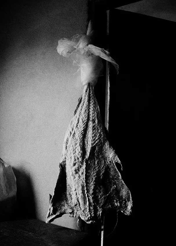  Lote#7 Sob vigia dos animais antigos nº7  Prova de exposição 50×35cm 35mm negative Printed on Hahnemühle fine art paper   Vendido Sold  