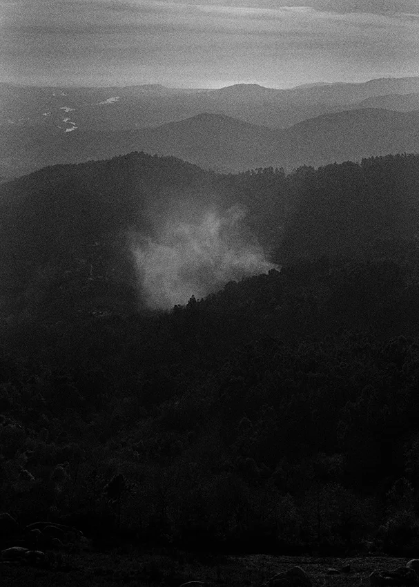   Lote#12 Sob vigia dos animais antigos nº12  Prova de exposição 50×70cm 35mm negative Printed on Hahnemühle fine art paper   Vendido Sold  