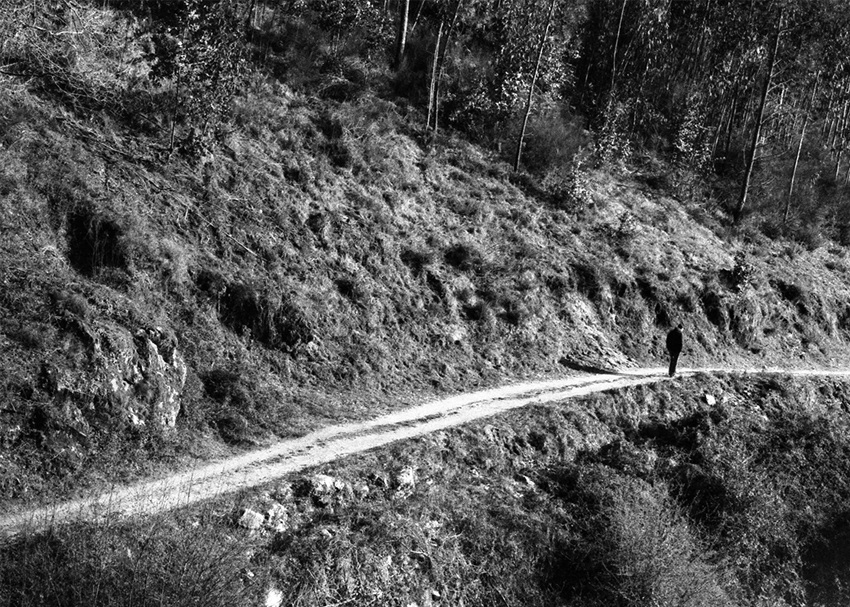   Lote#5 Sob vigia dos animais antigos nº5  Prova de exposição 50×35cm 35mm negative Printed on Hahnemühle fine art paper   Vendido Sold  