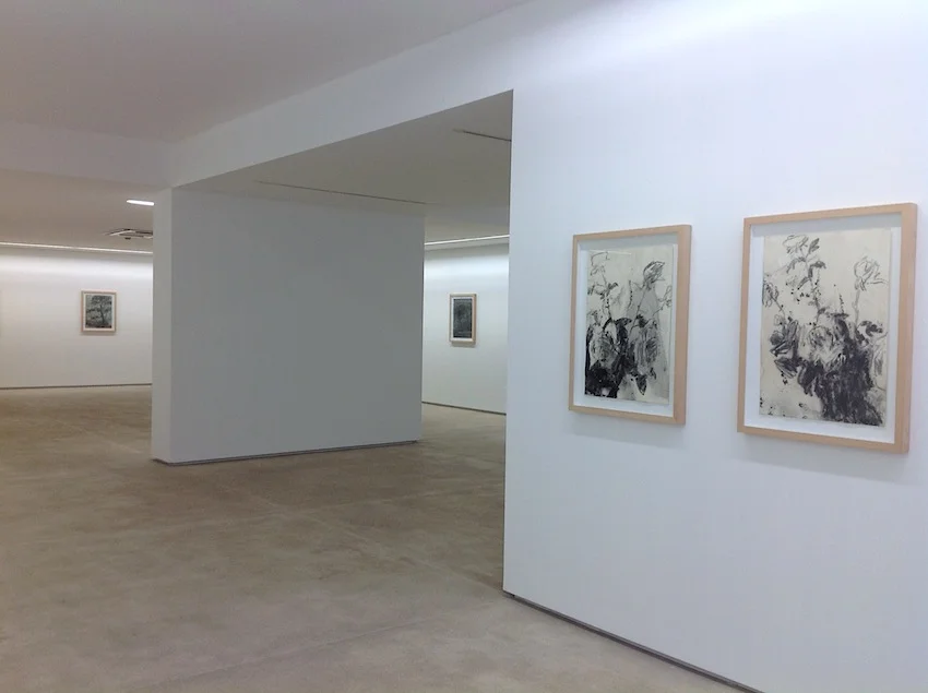 Exhibitions