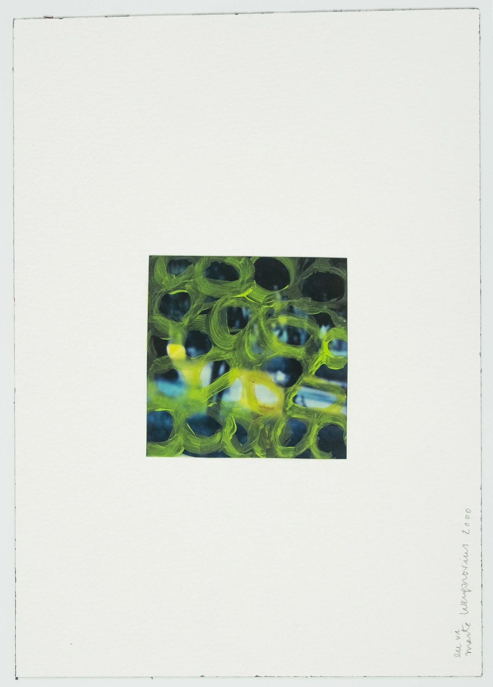   #8 Eu vi  26x18,5cm.  Acrílico sobre polaroid.  Assinado e datado 2000.    Vendido Sold  
