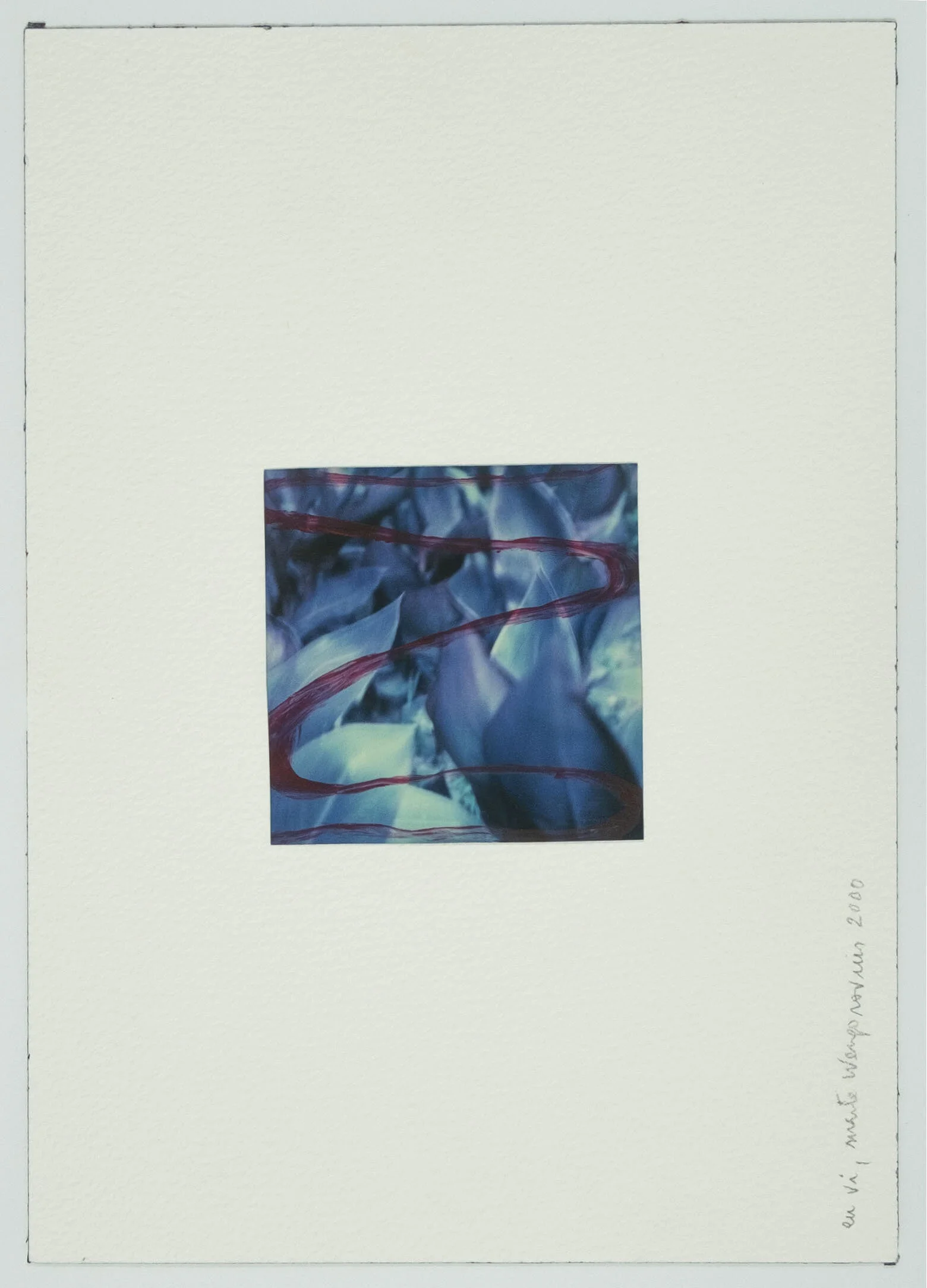   #9 Eu vi  26x18,5cm.  Acrílico sobre polaroid.  Assinado e datado 2000.    Vendido Sold  