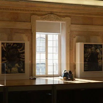Exposições