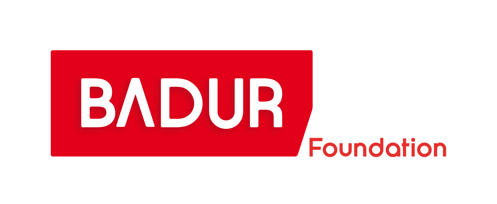 Copy of Badur_Logo_F.jpg