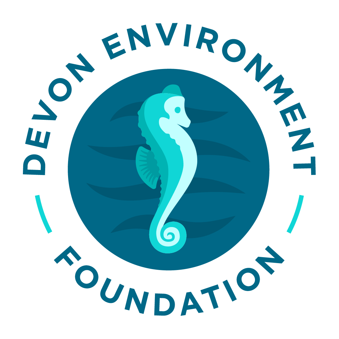 Devon_EF-logo-RGB transparent background (1).png