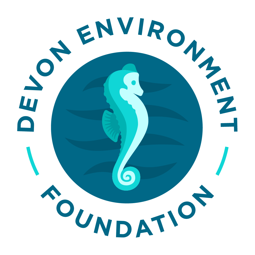 Devon_EF-logo-RGB transparent background.png