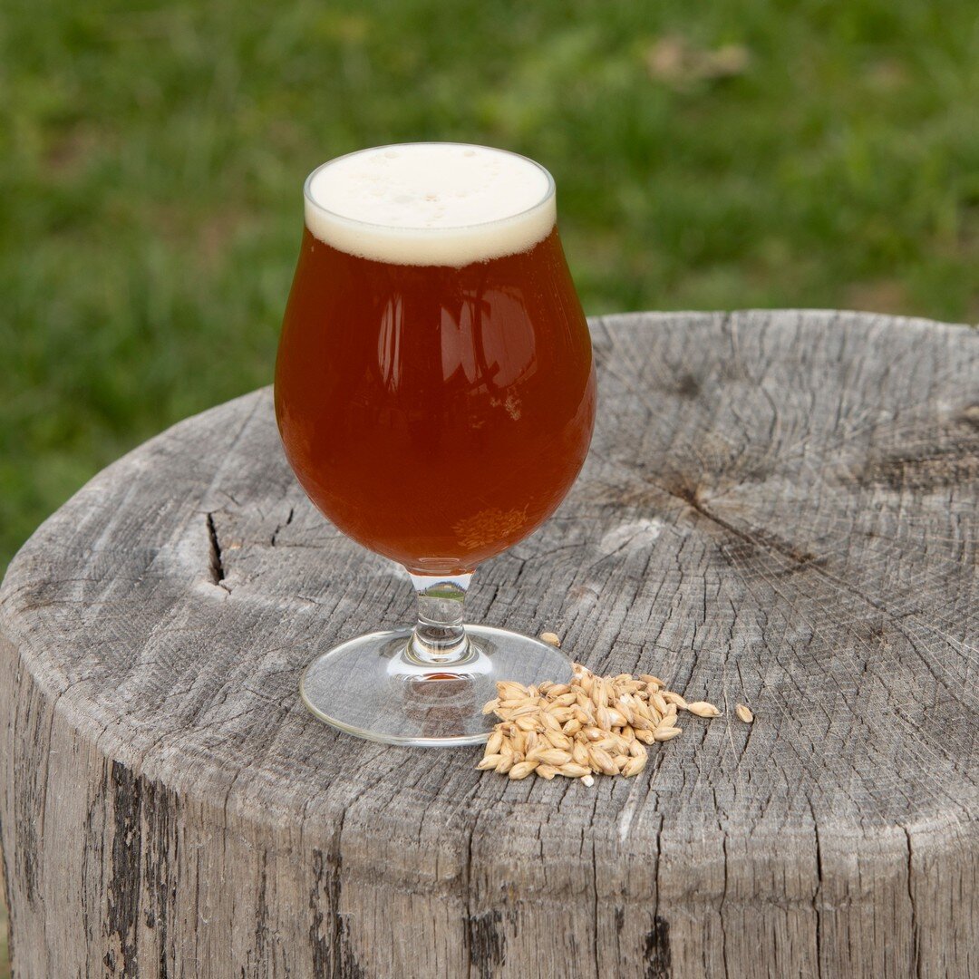 Special Release for Sunday May 1, at our Anniversary Party - 

Diablo Ale: This barleywine ale was brewed with 2-row malt and Cascade hops from @flatwaterfarms. A long boil adds to the deep orange color and caramel notes. There are aromas and flavors