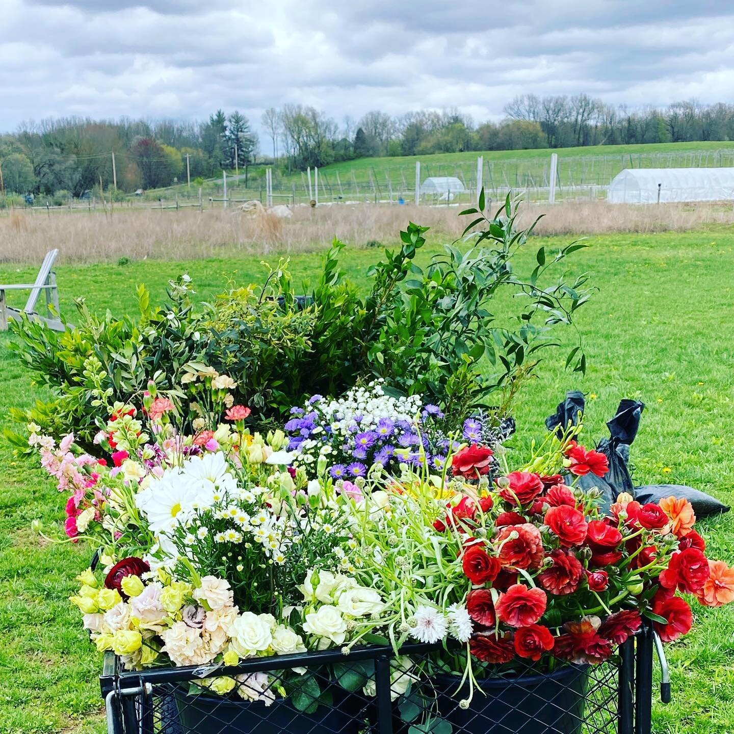 Happy Mother's Day to all those who have played that role for someone.  Here are some flowers.  Get ready for far more growing on the farm.  Also, thank you to @freshflowersbyanna for being our incredible local florist.