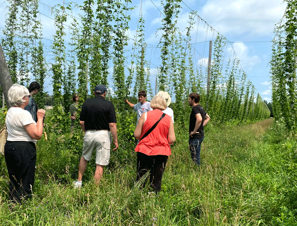 Farm and Brewery Tour