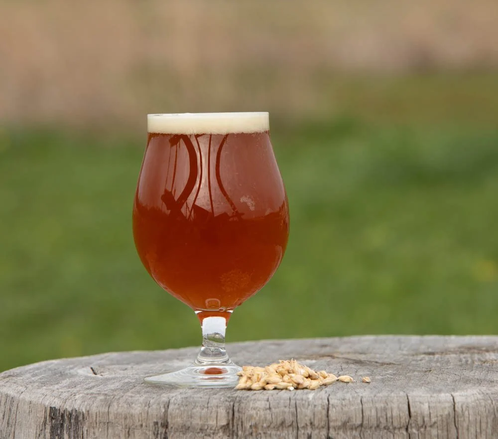 rsj Barleywine4'22_08.jpg