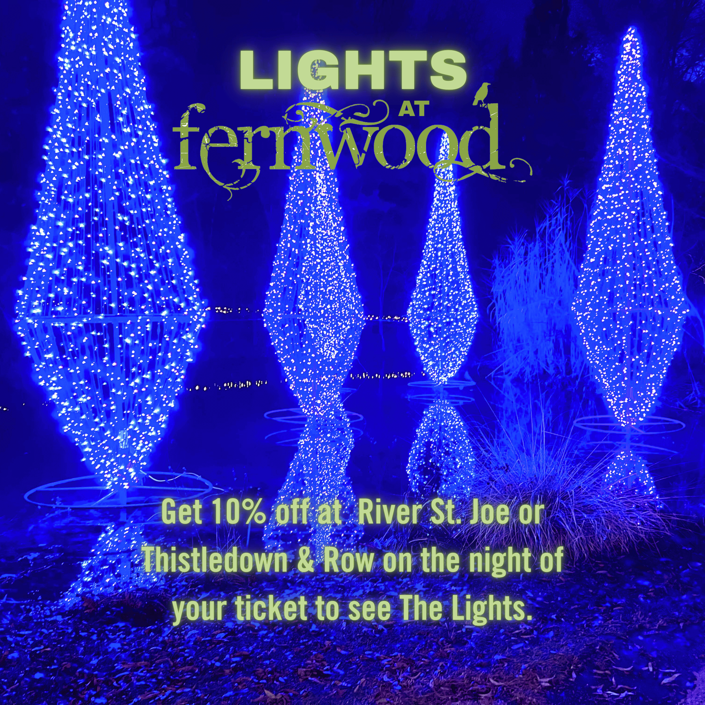 Fernwood Lights and River St. Joe