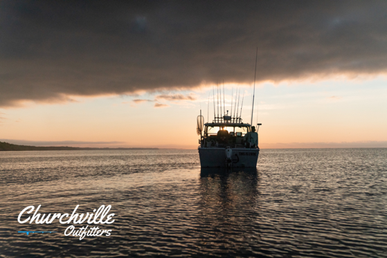 Screen Shot 2020-03-14 at 12.51.48 PM.png