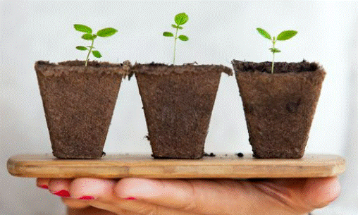 Screenshot 2022-01-13 143654.gif