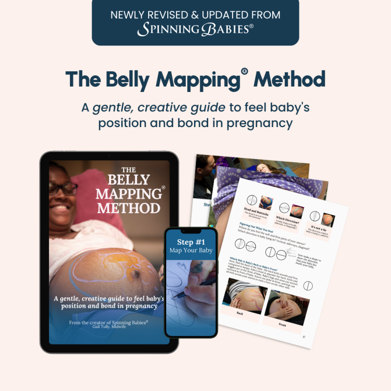 Belly Mapping eBook