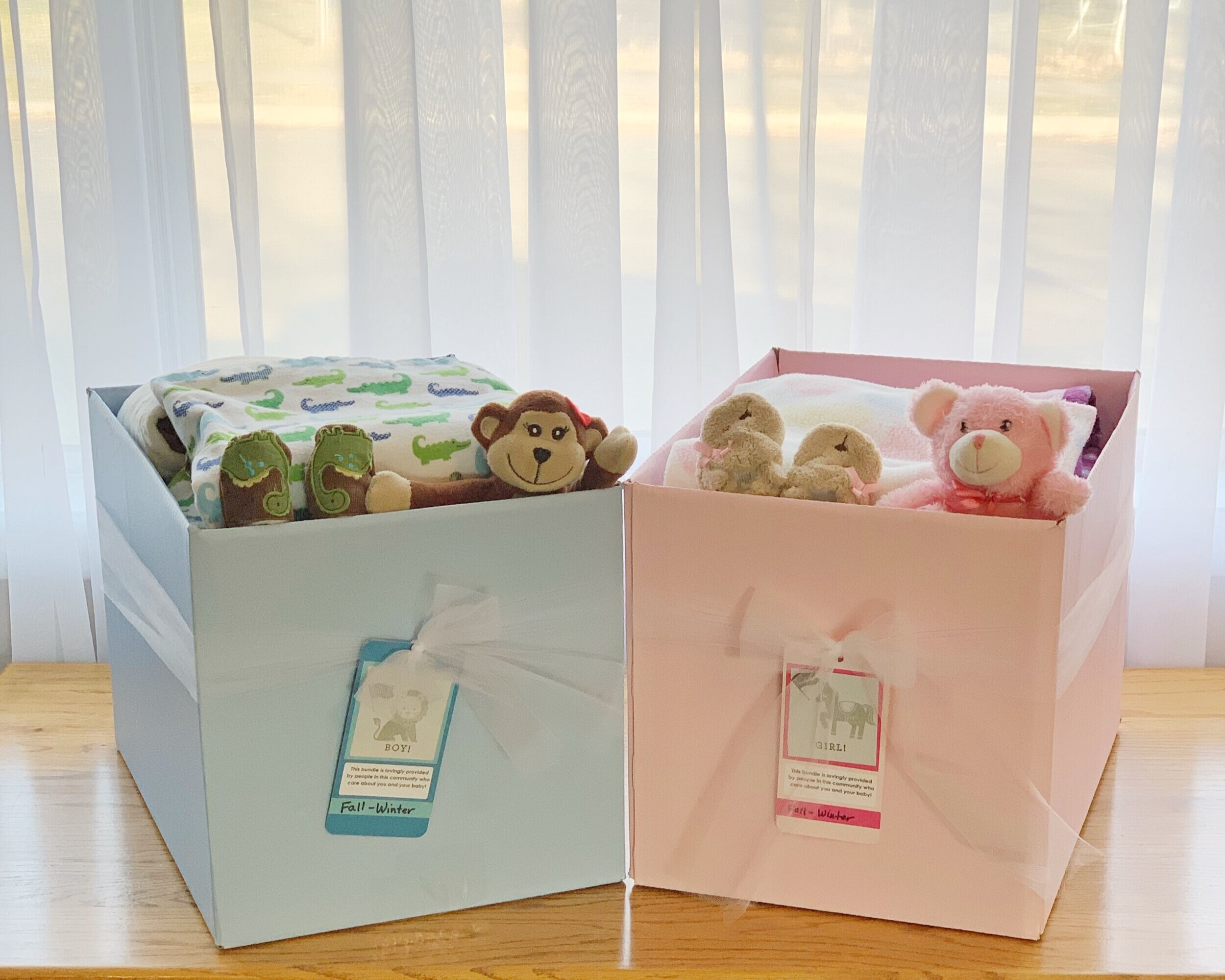 Baby Bundle Boxes — Next Step Pregnancy and Relationship Center