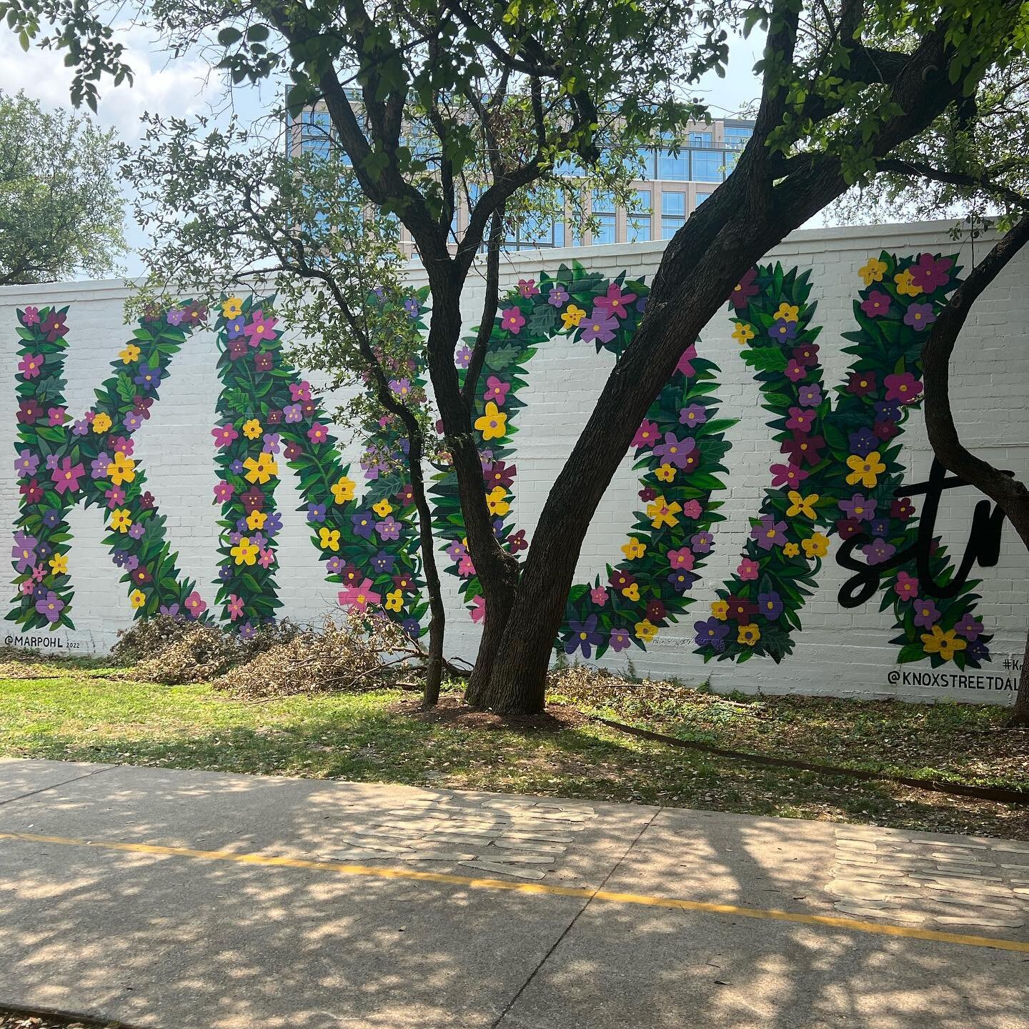 🪷🌸🌺🌹💐 @knoxstreetdallas #katytrail #beautyonthetrail #dallasmurals #sundayfunday #knoxhenderson #knoxhendersondallas #uptown #dallas #dfw