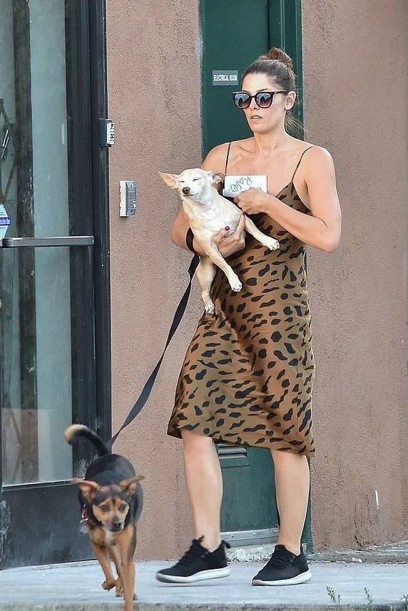 ashley-greene-animal-print-dress-studio-city.jpg