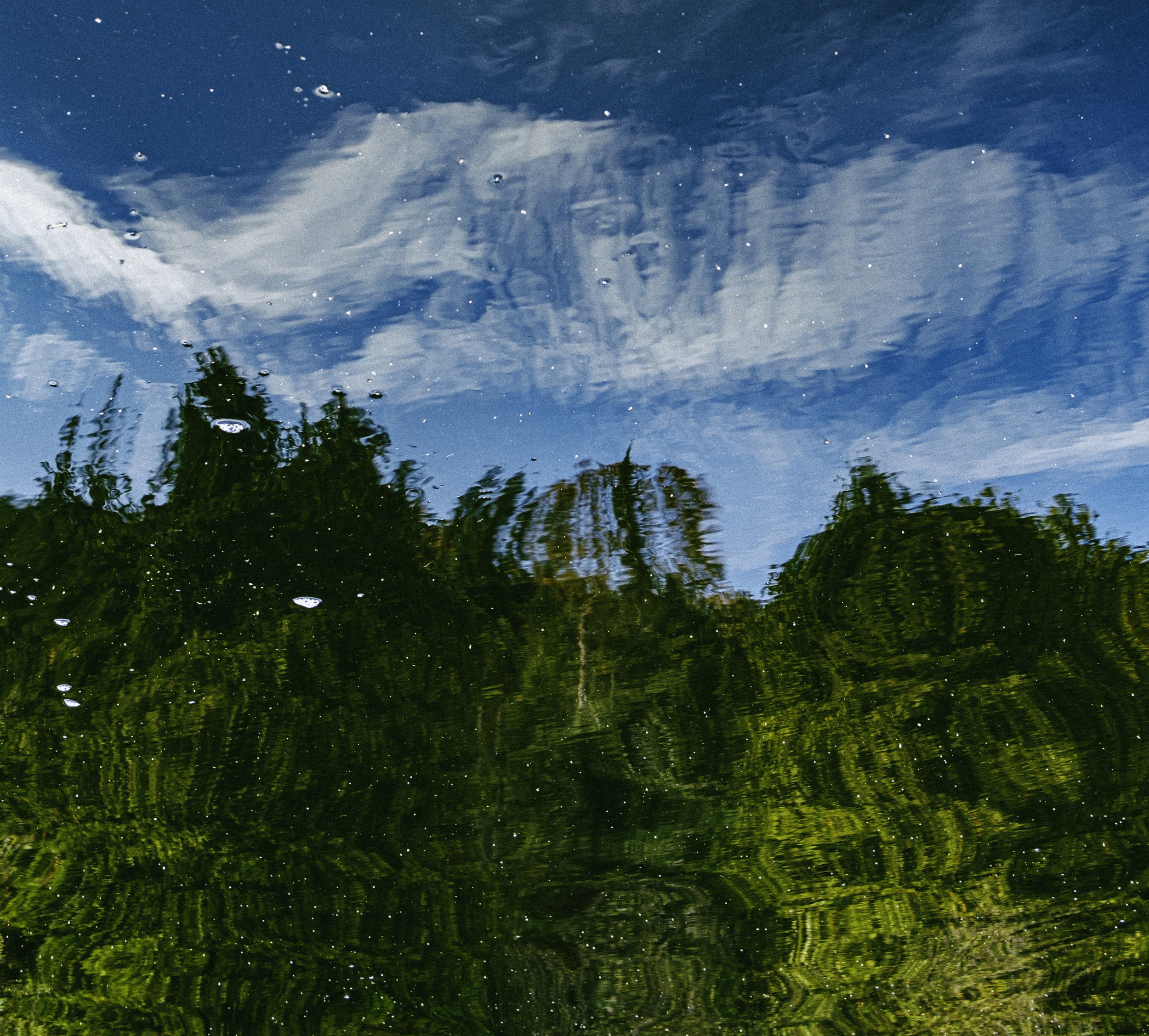 DSCF0307.jpg