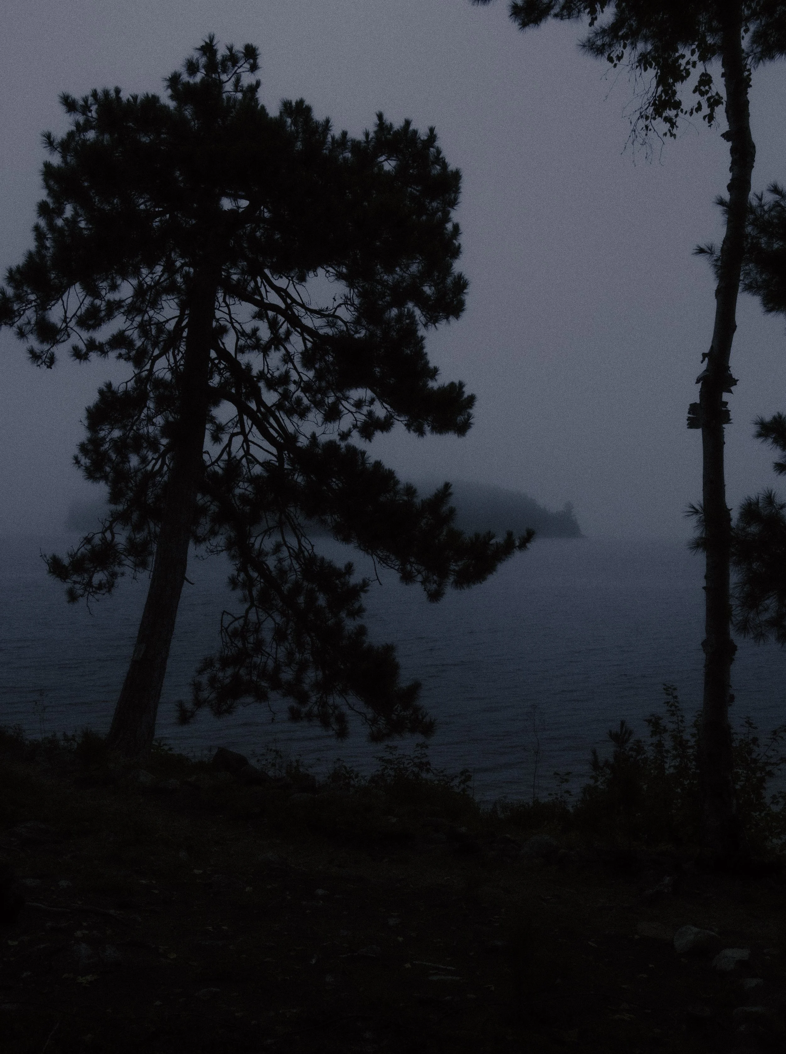 DSCF0230.jpg