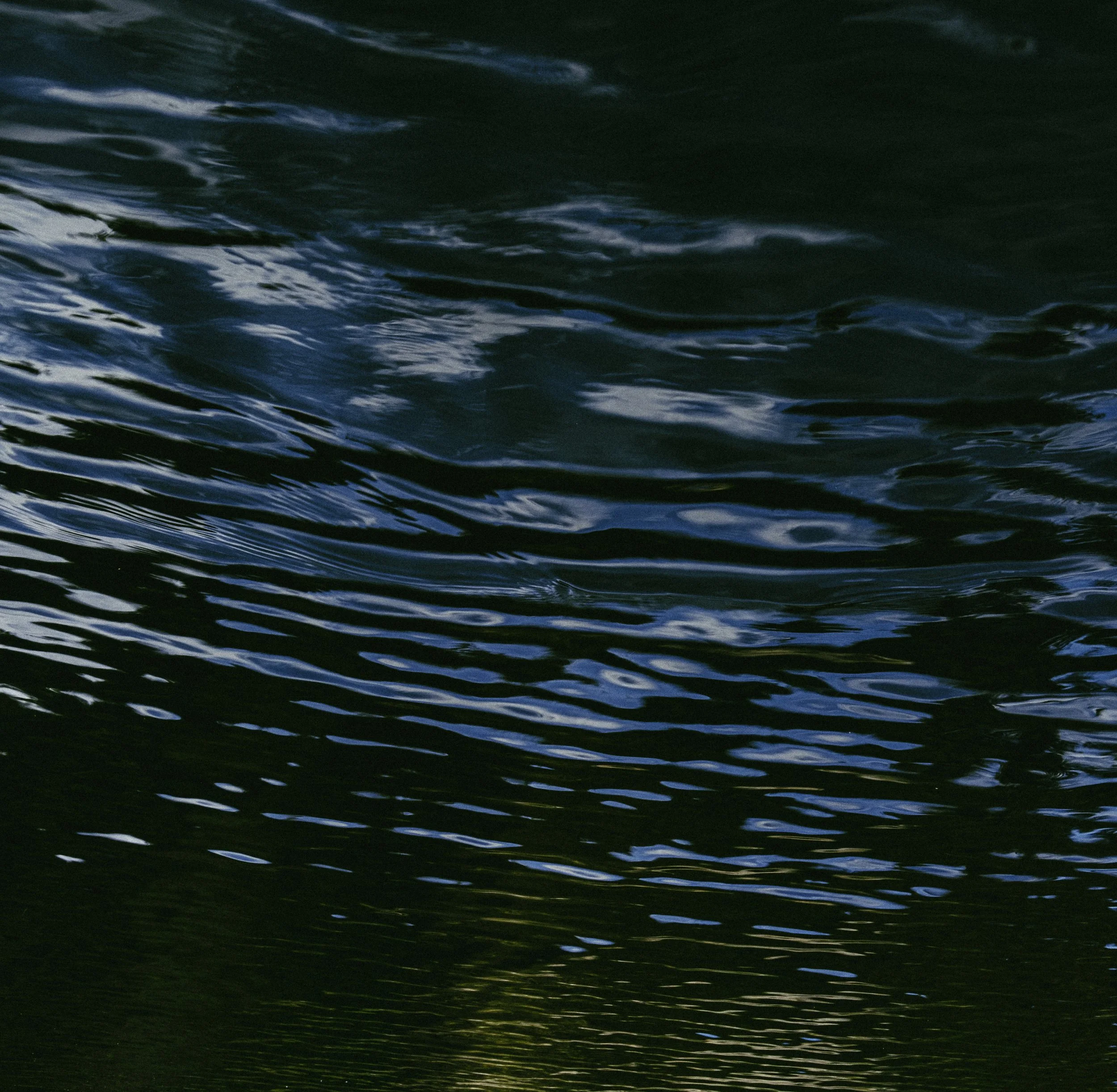 DSCF0359.jpg