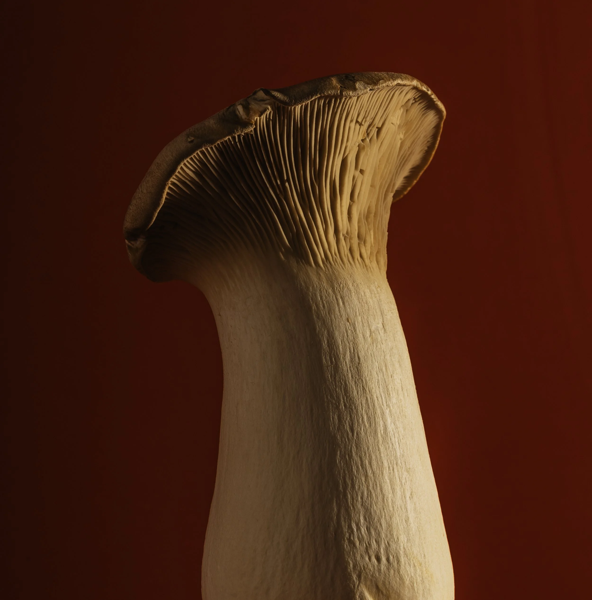 5C8A2691.jpg