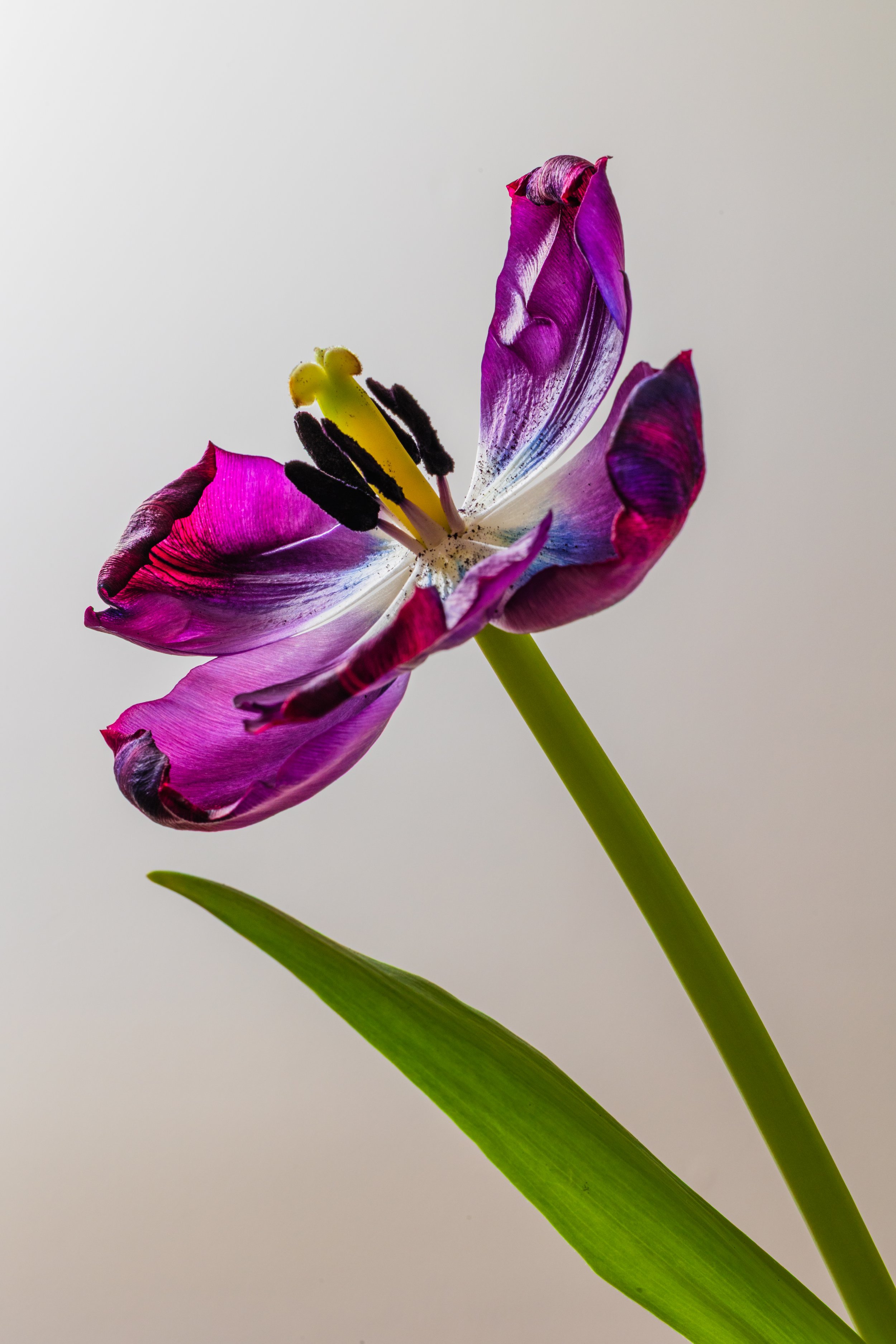 5C8A2371.jpg