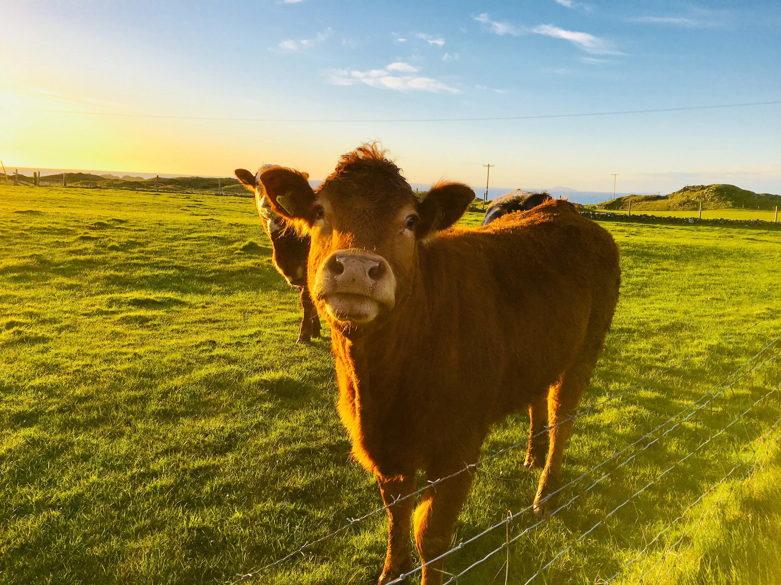 Reconnecting with the Light: Reflections on our time on the Isle of Iona