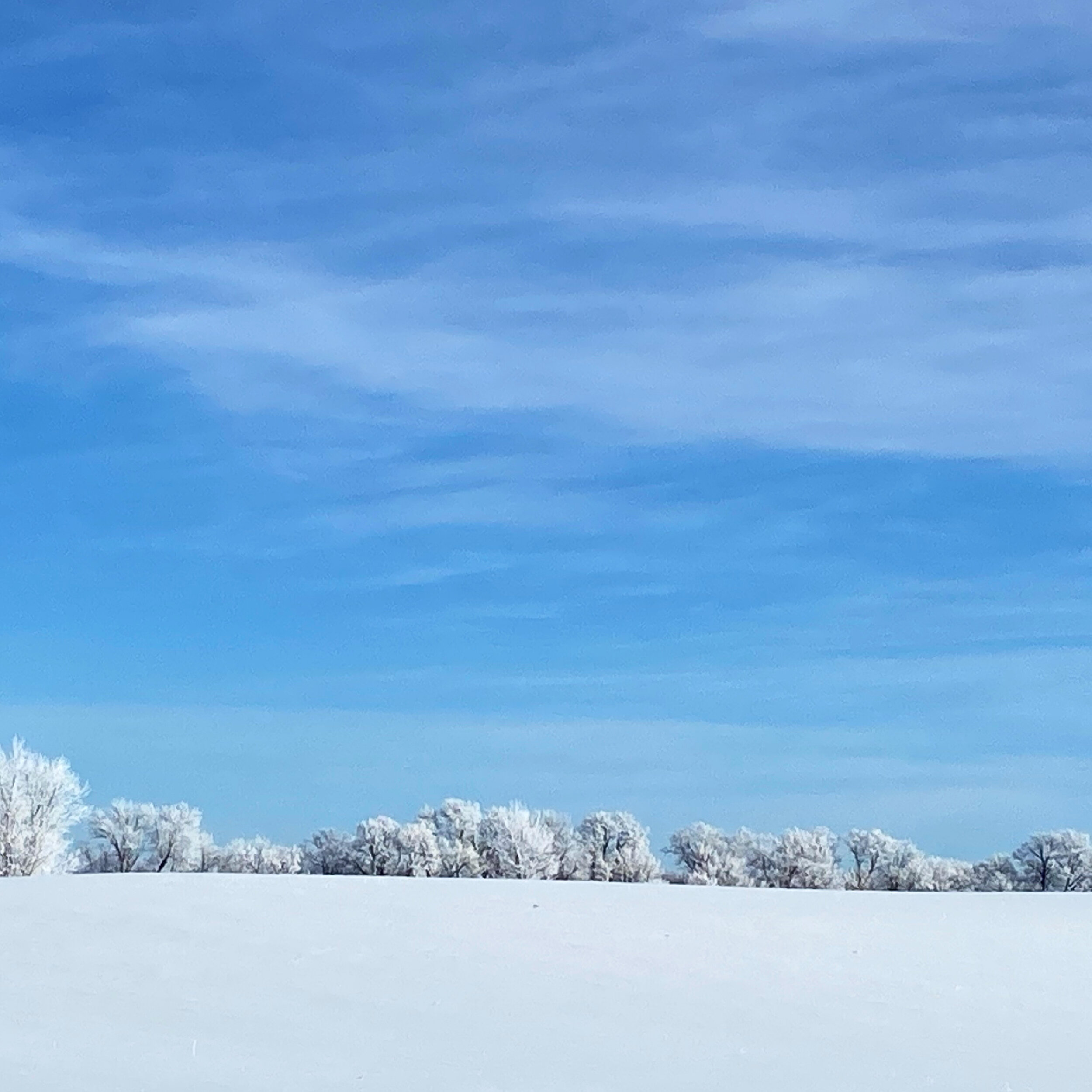 Boundaries and the Spirit of Nature