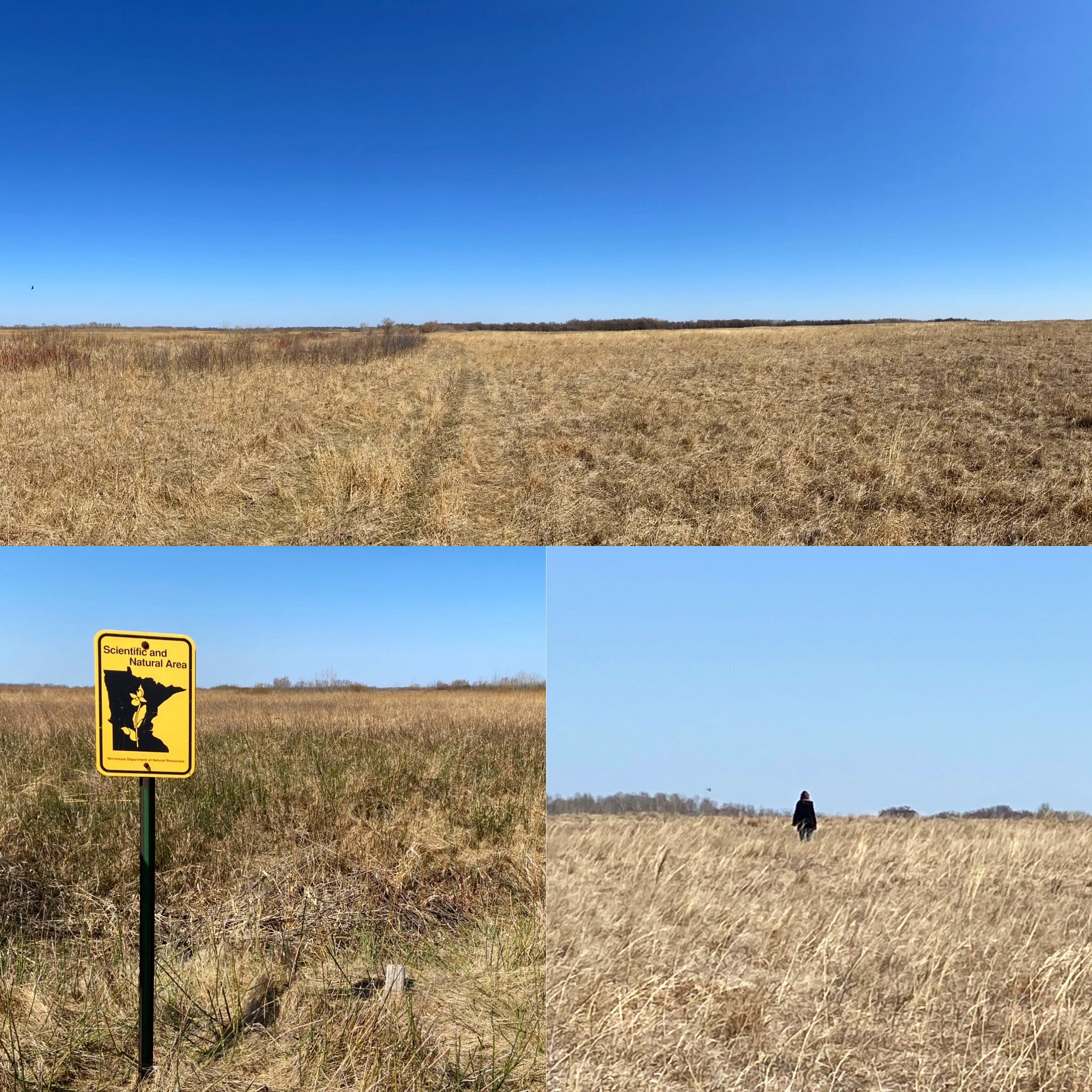 Visible and invisible forms of love 