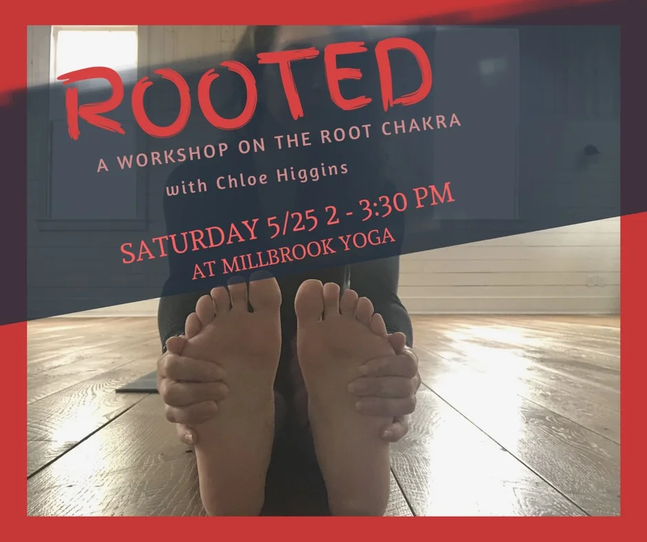 ROOTED.jpg