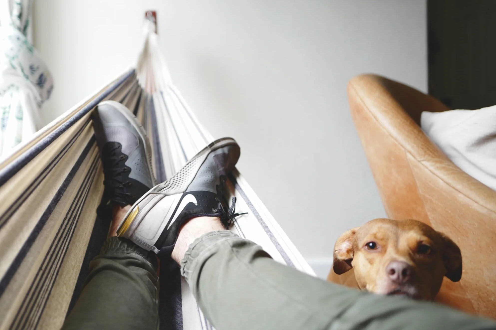 How and Why to Use Deloads for Optimal Recovery