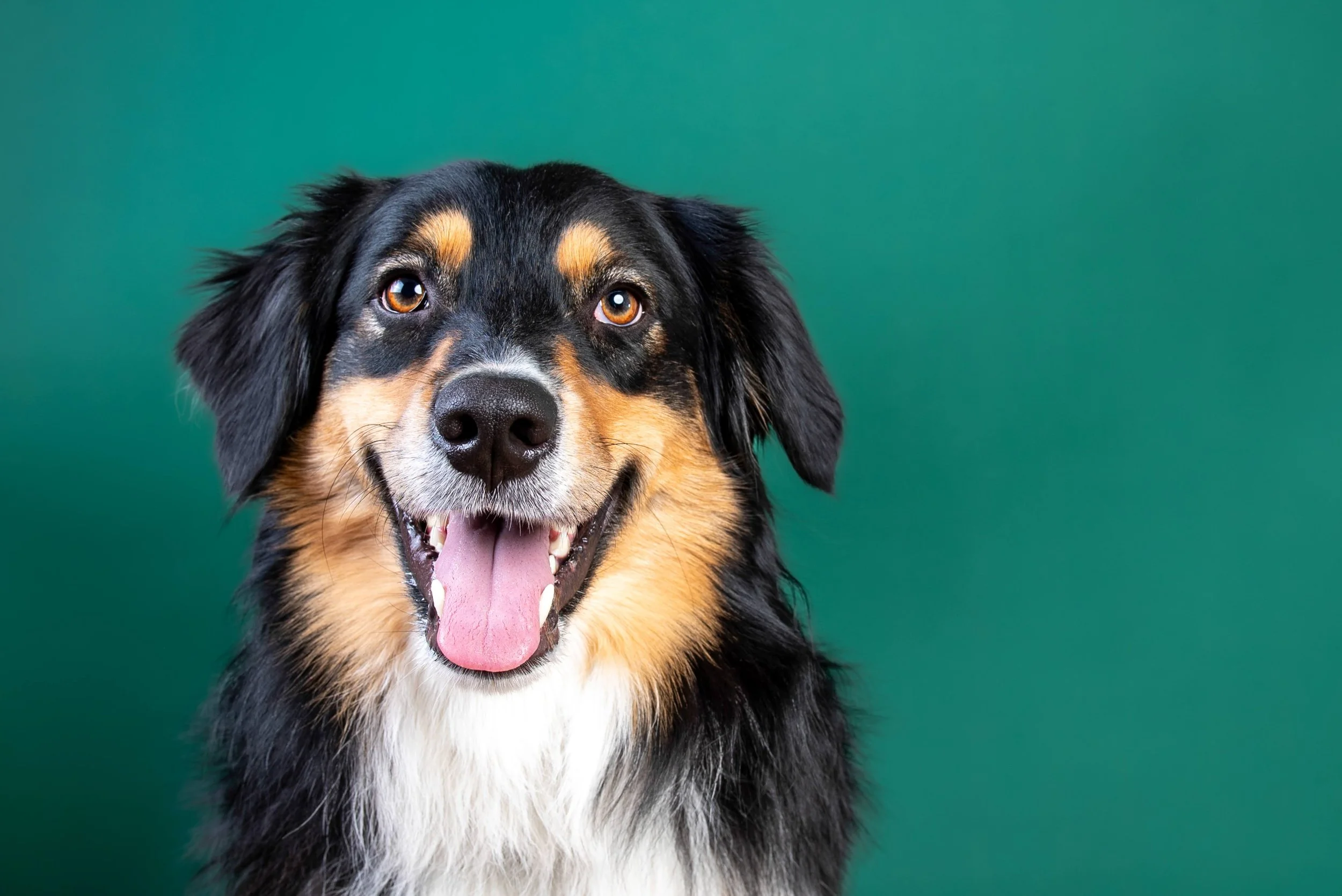 Loki - Jan_2024-1.jpg