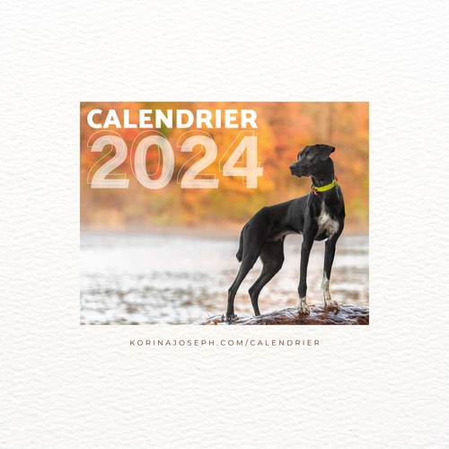 Achat Calendrier sur Socle - Dogs - Janvier 2024 à Decembre 2024 en gros