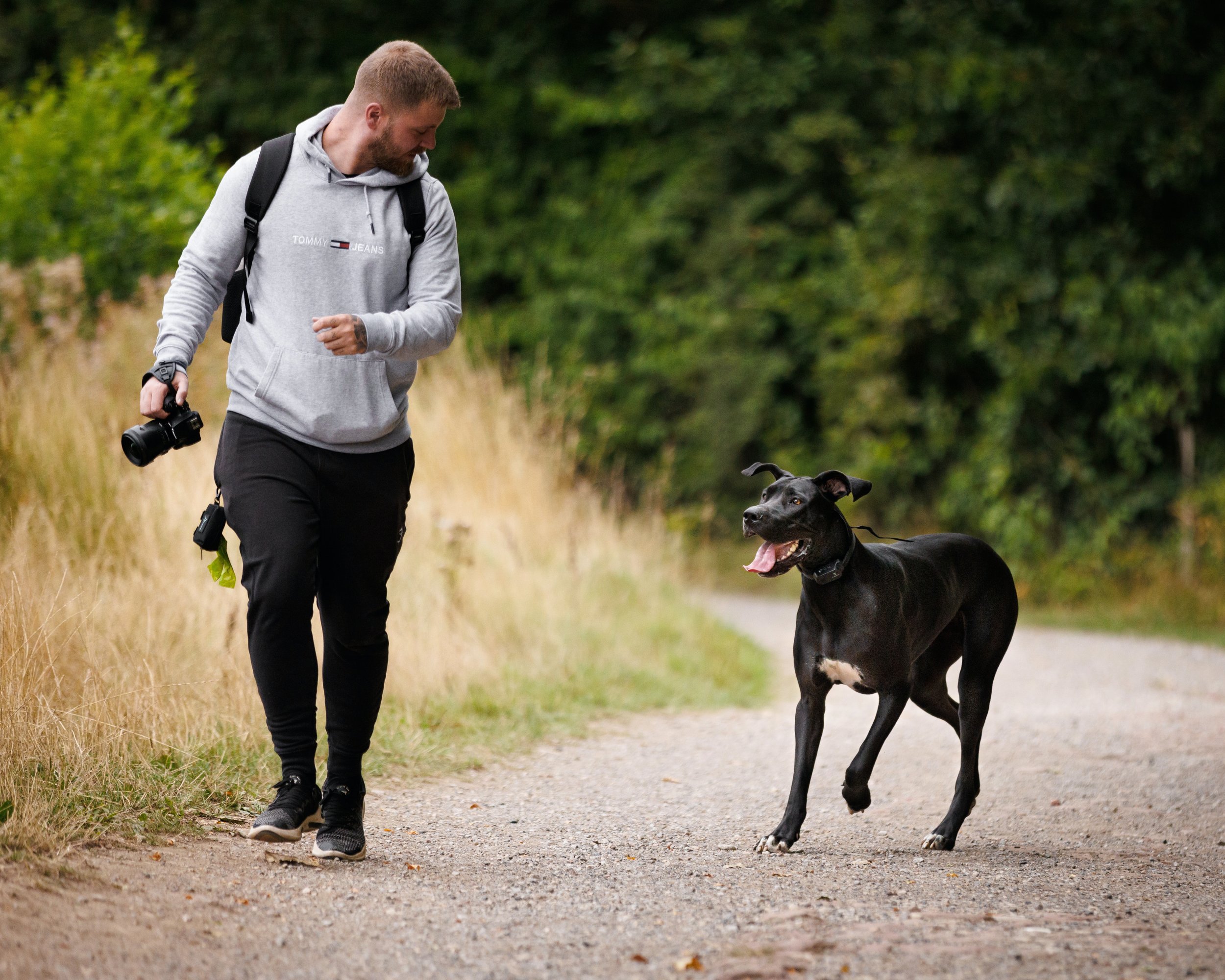 Unleash a Pawsitive New Year: impliquez votre animal de compagnie dans vos résolutions 2024 !