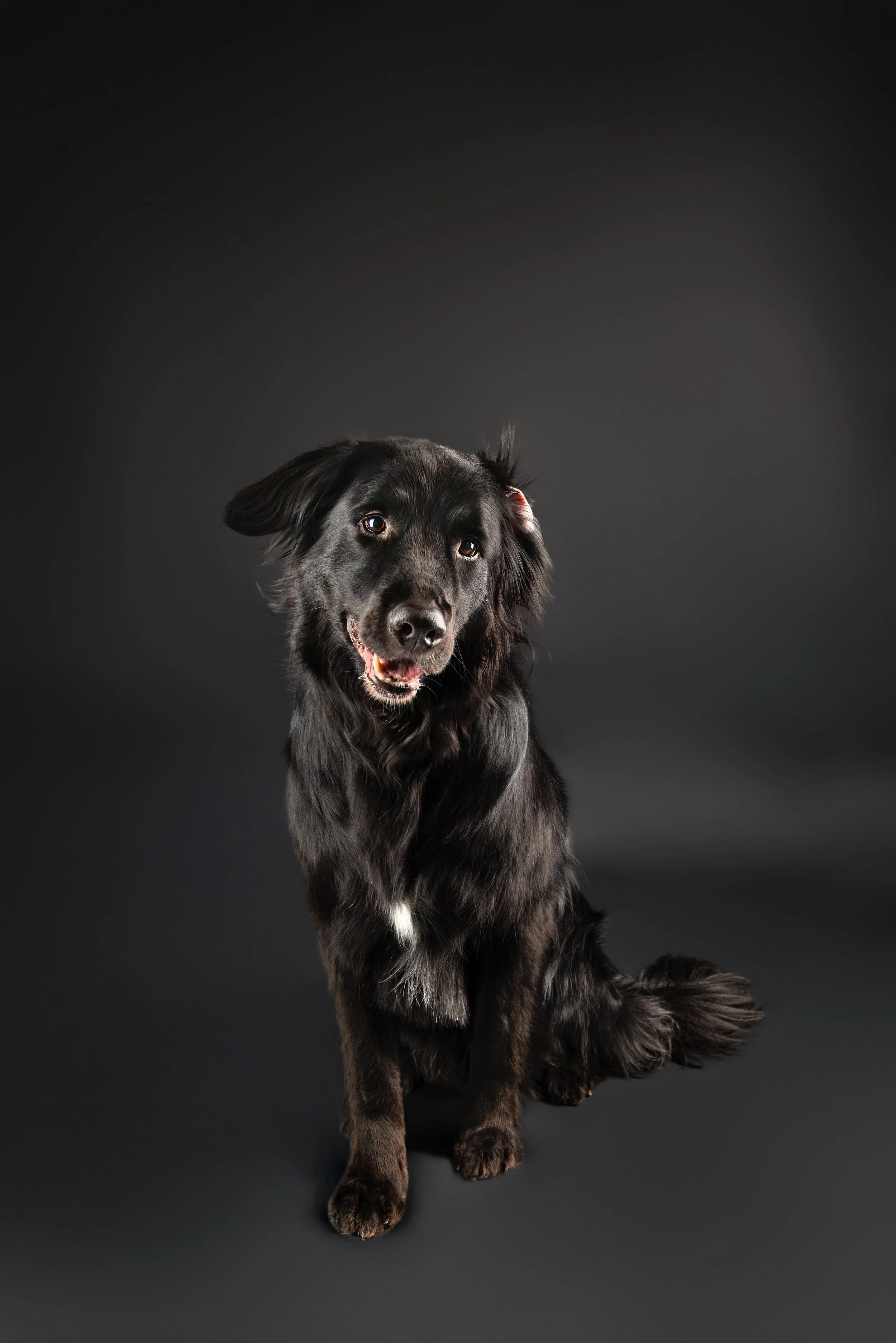 MARTIN, Rachel2 - FINAL-1.jpg