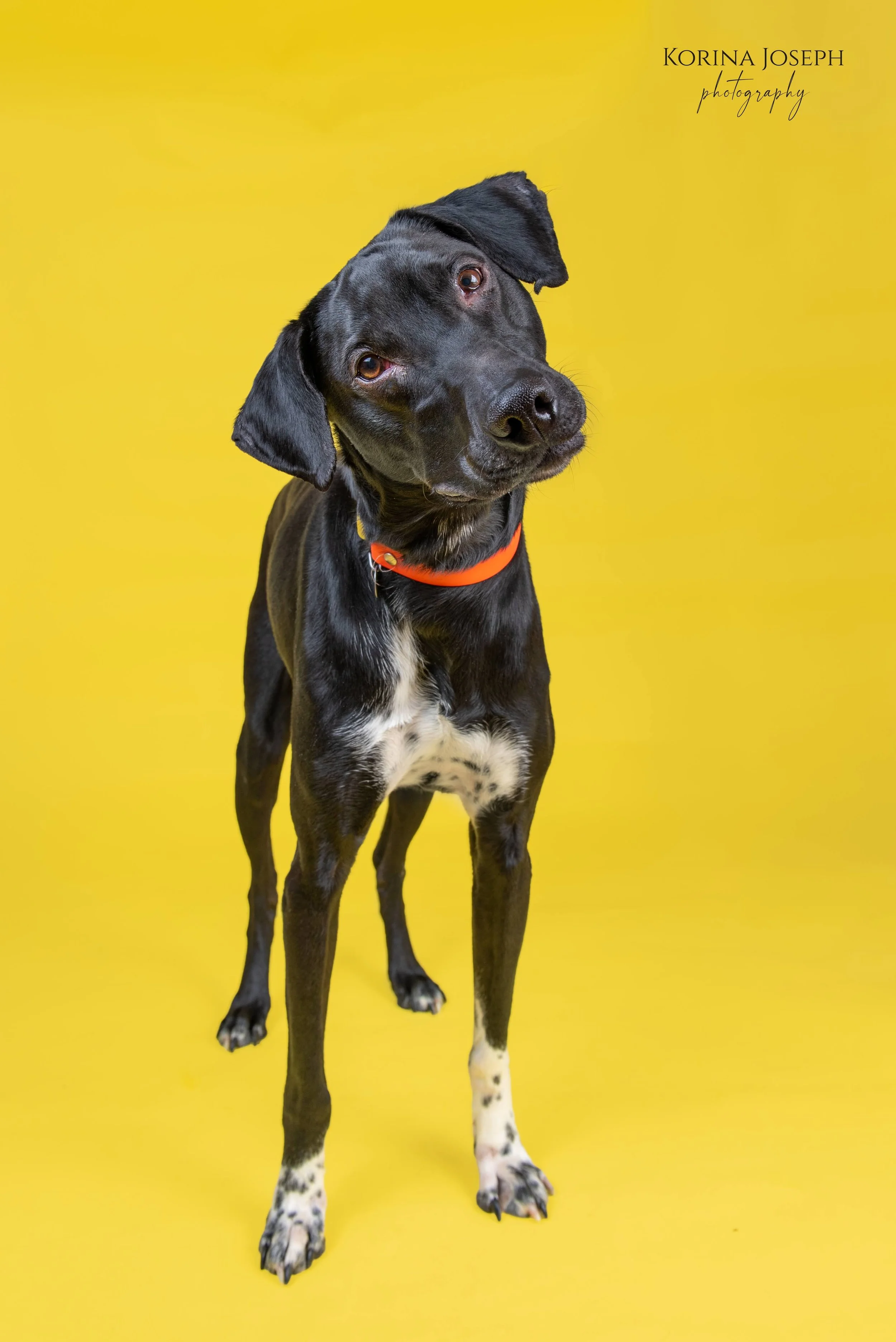 LAMARCHE, Andre2 - SM-1.jpg