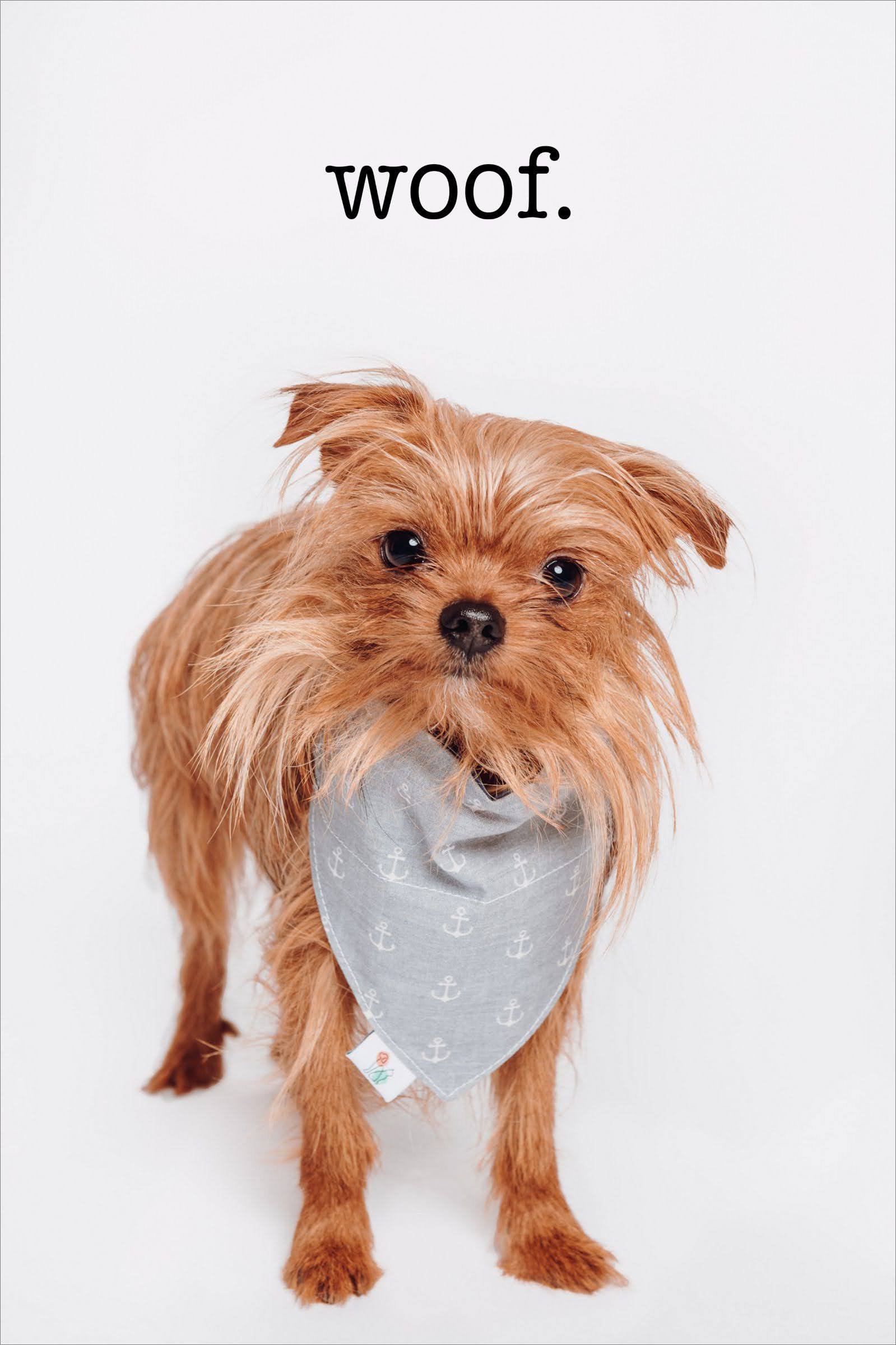 01-woof 12x18 black overlay.jpg