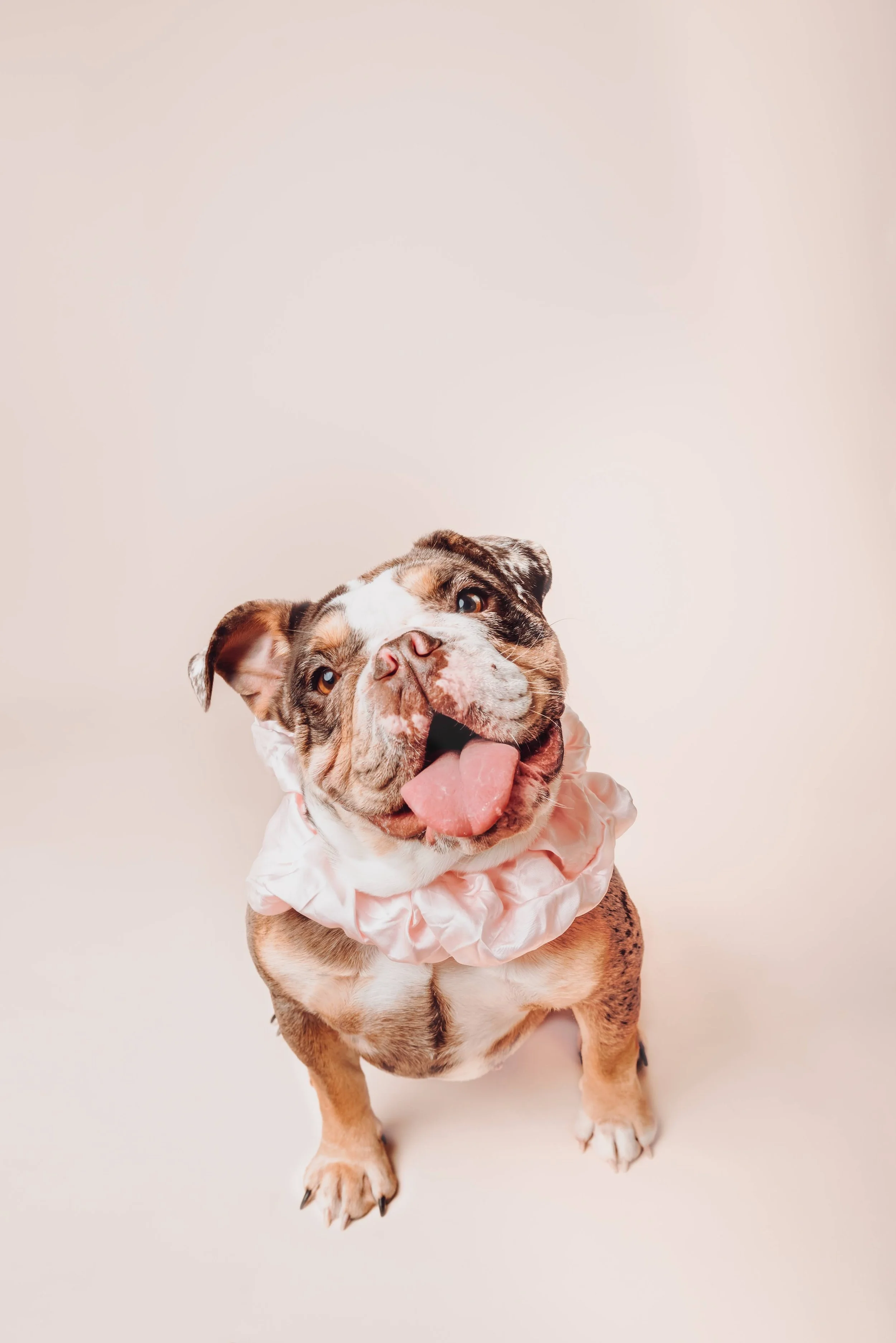 CLOUTIER-CHARETTE, CATHE-1-2.jpg